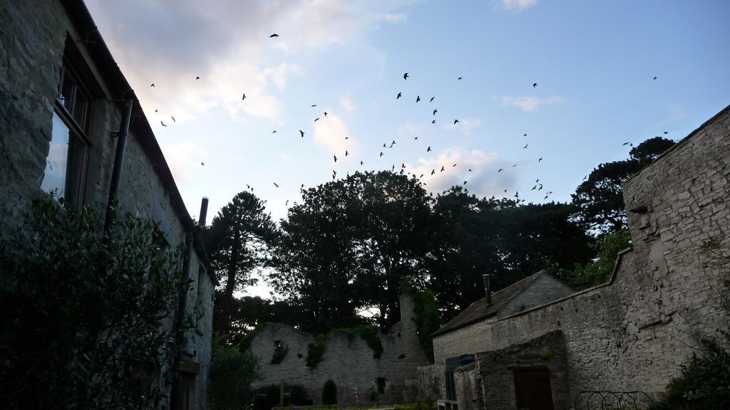 Bed and Breakfast The Priory Middleham Exteriér fotografie